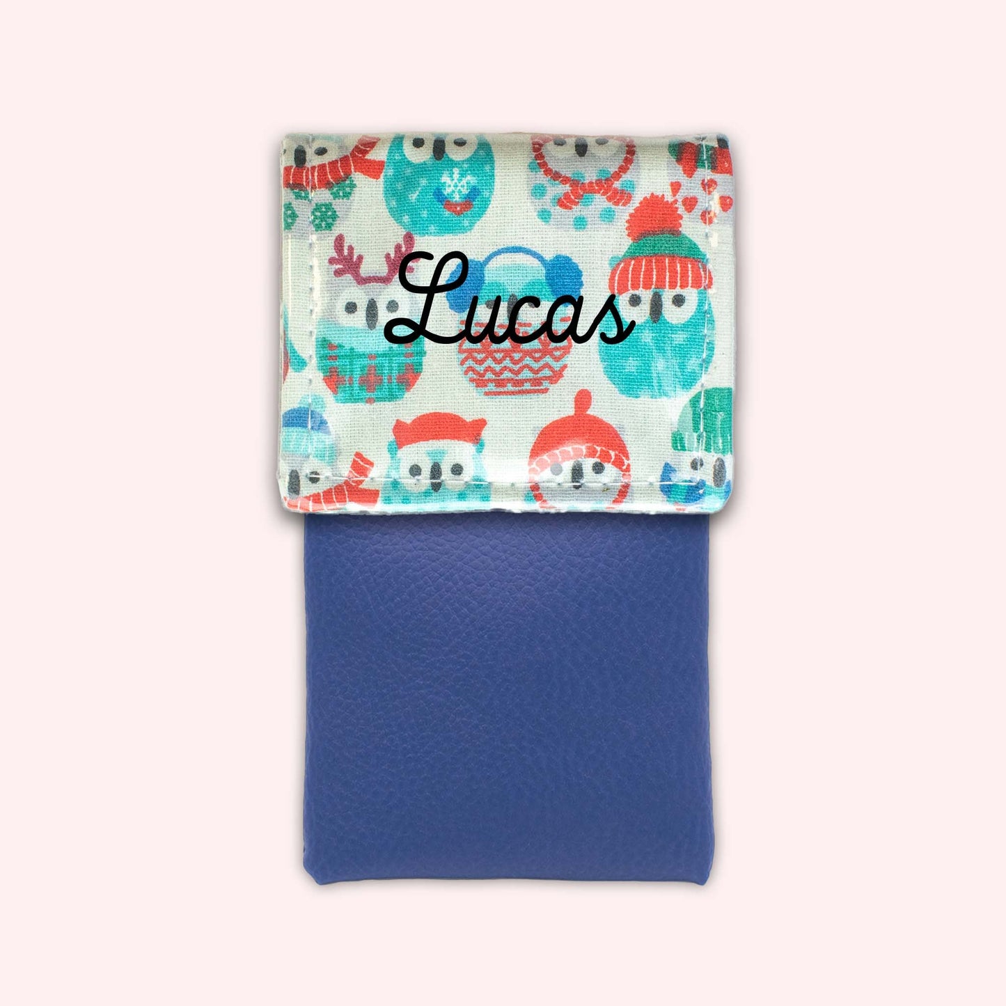 Pochette aimantée Hiboux Menthe Hiver