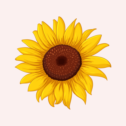 Tournesol